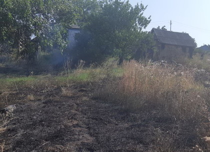 Труп пенсионерки нашли в выжигаемой траве