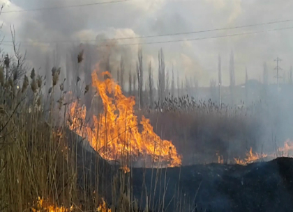В Харькове и пригороде продолжает гореть сухостой, камыш и мусор