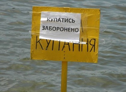 Вредную инфекцию нашли на пляже под Харьковом