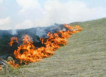 В Харькове и пригороде площадь пожаров  за сутки охватила 8 гектаров