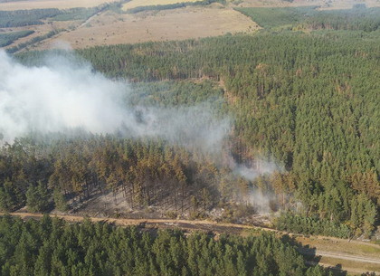 Крупный лесной пожар ликвидируют под Харьковом (ФОТО)
