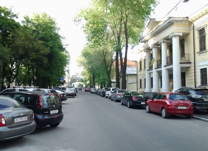 Улицу Чернышевскую на месяц закрыли для транспорта