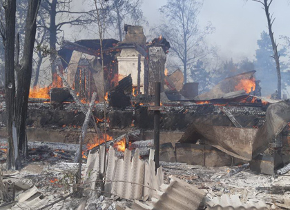 Под Харьковом горел сухостой, леса и дачи (ФОТО)