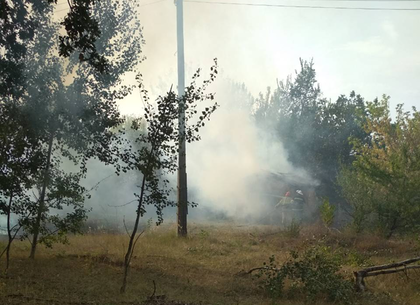 Лесной пожар в Красноградском районе локализован, – ГСЧС