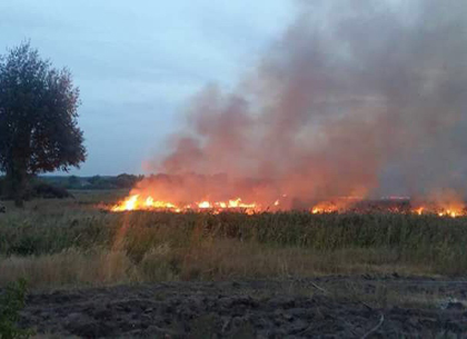 Под Харьковом пожарные спасли село от стремительно приближавшегося огня