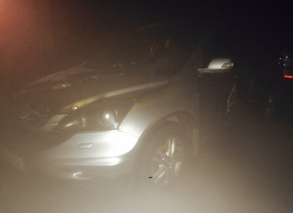 Огненное зарево в ночи: на Алексеевке пылали припаркованные авто (ФОТО)
