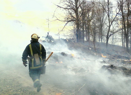 Харьковские охотники отметили спасателей за самоотверженную борьбу с лесными пожарами (ФОТО)