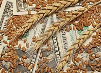 Харьковщина активно влияет на цены зерновых нового урожая