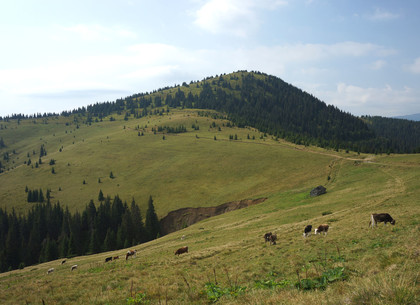Харьковские туристы попали в передрягу в карпатских горах