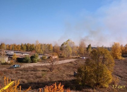 Под Харьковом спасатели продолжают бороться с крупным пожаром (ФОТО)