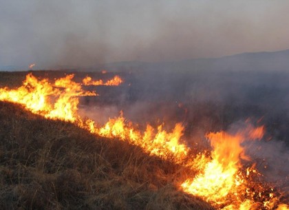 Дострелялись: пожар на полигоне под Харьковом начался во время военных учений
