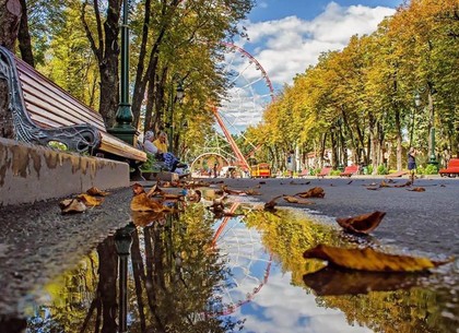В Харьков вернется тепло: прогноз погоды на выходные