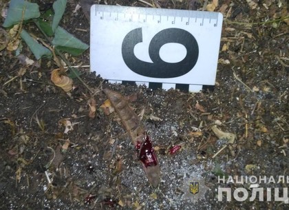 Как дедок под Харьковом на улице молодого соседа побил и под стражу попал (ФОТО)