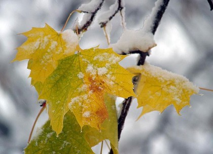Долгосрочный прогноз погоды: в ноябре харьковчан ждет и солнце, и снег