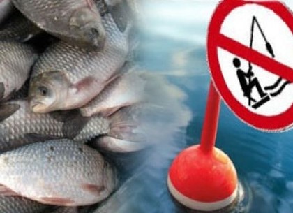 Вступил в силу запрет на вылов в зимовальных ямах: где в Харькове нельзя ловить рыбу