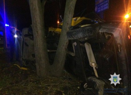 На Шевченко автомобиль врезался в дерево (ФОТО)