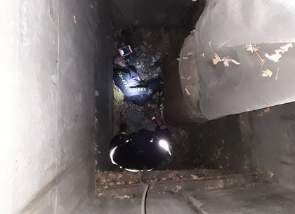 Мужчина упал в 8-метровый колодец в частном секторе на Немышле (ФОТО)