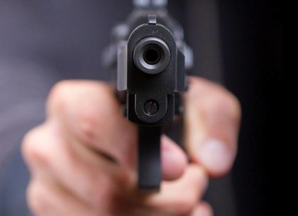 Полиция просит помощи в расследовании хулиганского «огнестрела» на выходных