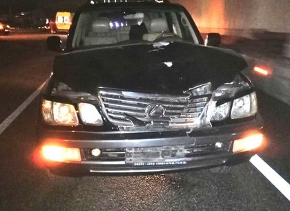 Водитель Lexus, погубивший двух пешеходов, вышел из тюрьмы под залог