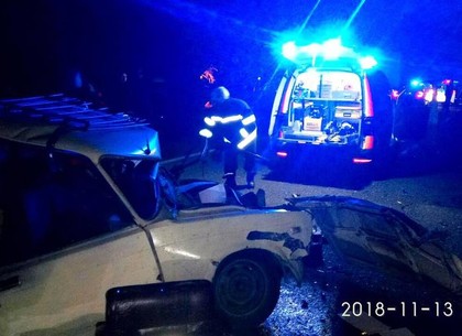 Смертельное ДТП под Харьковом: пострадавшего из машины вырезали спасатели (ФОТО)