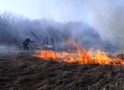 Тело мужчины нашли в выжженной траве под Харьковом (Обновлено)