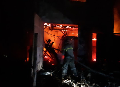 Как тушили пожар в Коробовых хуторах, рассказали спасатели (ФОТО)