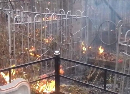 В пригороде Харькова - пожар на кладбище (ФОТО)