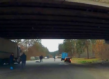Труп под мостом: полиция начала проверку (Обновлено, ВИДЕО)