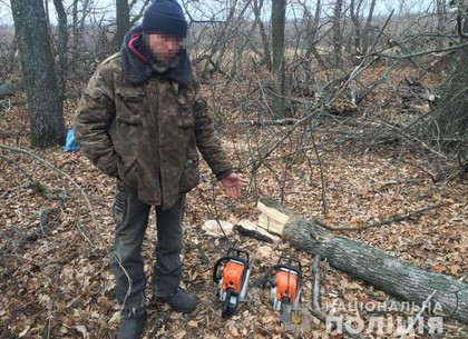 В лесу на Харьковщине «на горячем» поймали браконьеров с бензопилами (ФОТО)