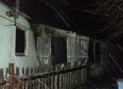 На Харьковщине спасатели нашли труп женщины на пожарище (ФОТО)