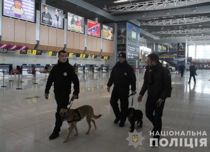 Шери и Астерикс на страже Харьковского аэропорта (ФОТО)