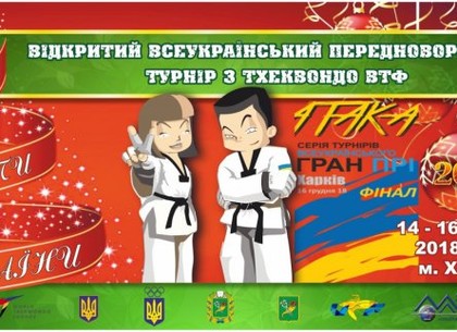 В Харькове пройдет серия национальных турниров по тхэквондо