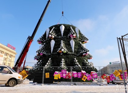 Новогодняя елка Первой столицы в очередной раз побьёт национальный рекорд