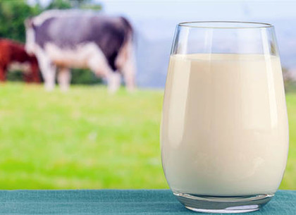 Специалисты Харьковской государственной службы контроля за качеством молока вышли на принципиально новый уровень