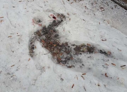Трагедия в Харькове: женщина разбилась насмерть возле дома (ФОТО)