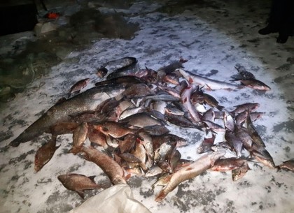 На новогодние столы харьковчан не попадет браконьерская рыба