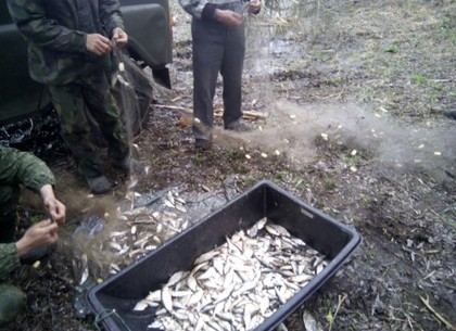 В прошлом году 8 инспекторов рыбоохранного патруля Харьковщины выявили более тысячи браконьеров