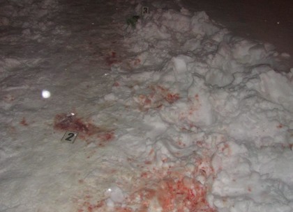 Кровь на снегу: удар ножом в шею от рецидивиста  (ФОТО)
