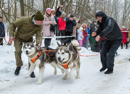 Winter Dog Fest 2019 в Харькове