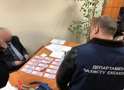 Директор Учкомбината подозревается в «торговле» удостоверениями лесоруба (фото)