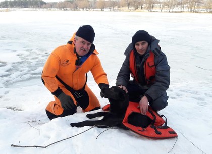 На харьковском водоеме показательно спасали утопающих (ФОТО)