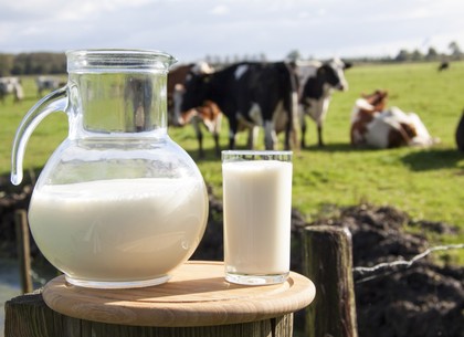 Харьков примет участие в пилотном проекте контроля качества молока