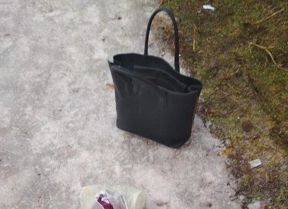 На Полтавском Шляхе у девушки вырвали сумку (ФОТО)