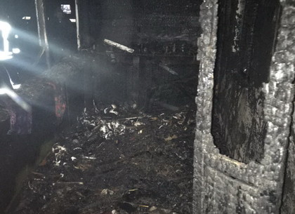 Под Харьковом мужчины сгорели в собственном доме (ФОТО)
