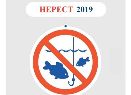 На Харьковщине вводится запрет на ловлю рыбы: как рыбачить, не нарушая закон