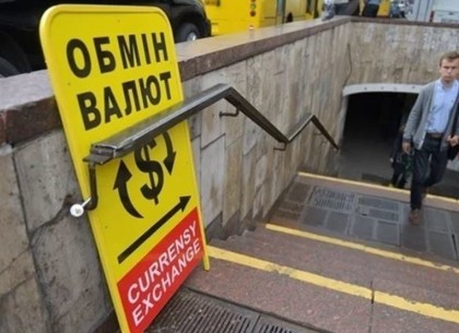 Из Украины вынули доллар перед выборами: Валютный курс замер