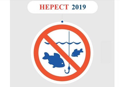 С 1 апреля на Харьковщине стартовал нерестовый запрет на лов рыбы и раков – электронная карта