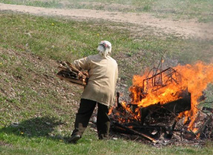 Жителям частного сектора запретят сжигать мусор во дворе, а дачникам — сажать картошку без разрешения