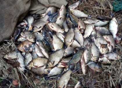 На Северском Донце задержали нарушителя с 10 кг рыбы (ФОТО)