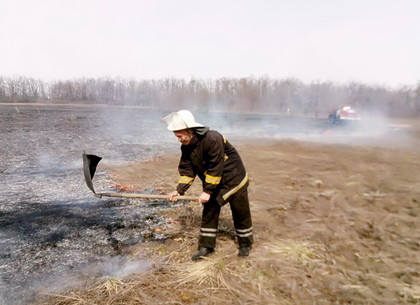 «Борцы с сухостоем» выжгли 3,5 га земли в Немышлянском районе (фото)